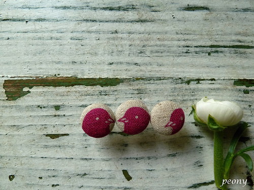 Doouška......nightingale and the rose — foto 3