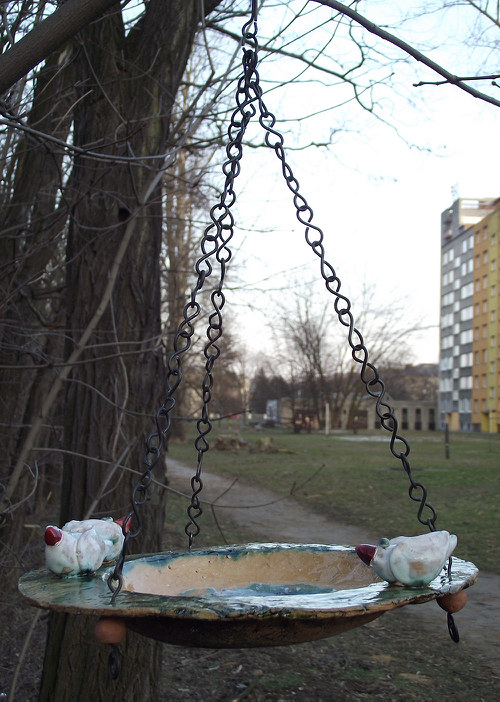 Čim ča rá ra - pítko pro ptáky — foto 5