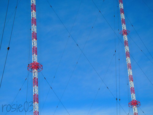 Lidská pavučina — foto 2
