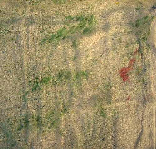Šedá Se Zelenými Ostrůvky — foto 2