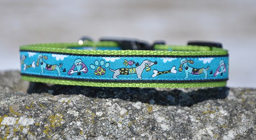 Obojek s jezevčíky modrý 25 - 35 cm — foto 2