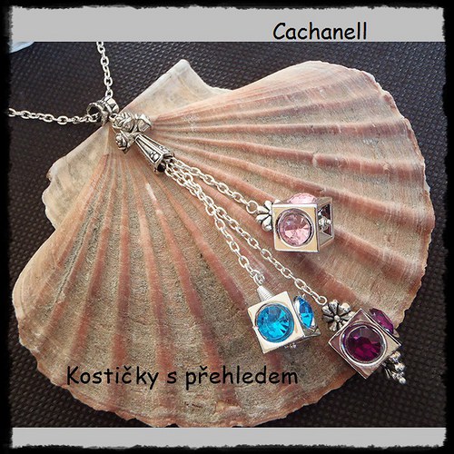 Kostičky s přehledem — foto 2