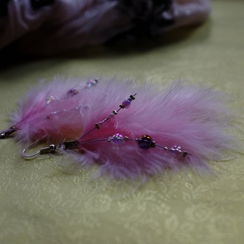 Citywings - Spring edition - Rosehip flower — foto 2