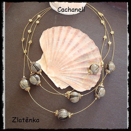 Zlatěnka — foto 2