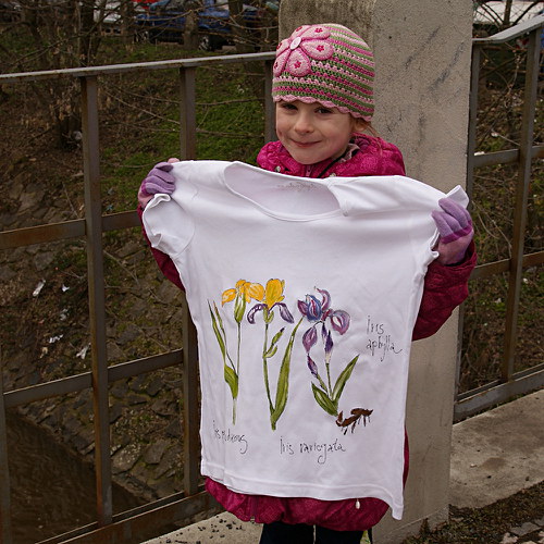 Kosatce - dámské triko M — foto 2