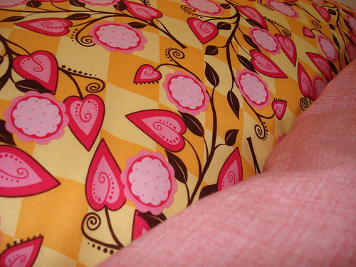 Popínavka mango — foto 5