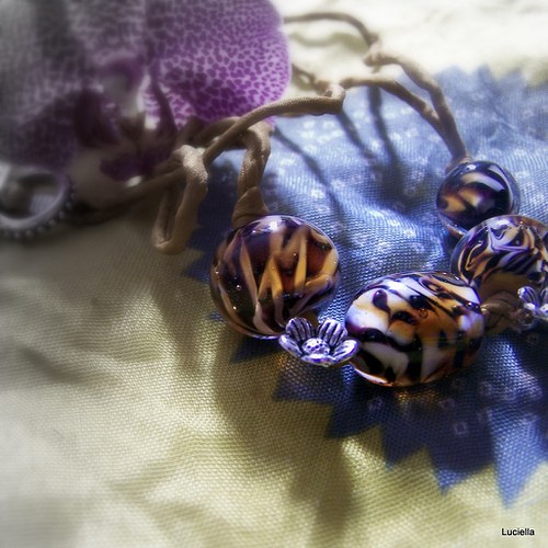 Tygře, tygře žhavě žhneš... — foto 5