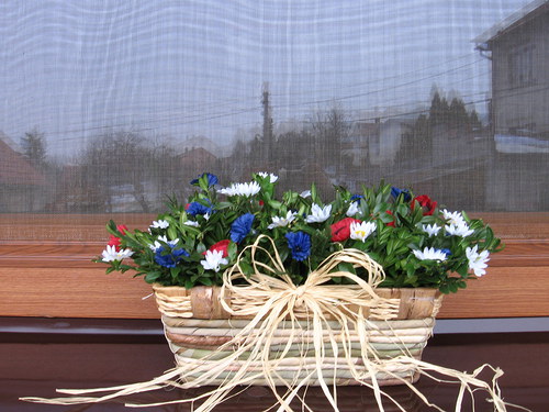 Rozkvetlý parapet — foto 2