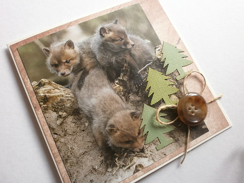 Lištičkové přání — foto 2