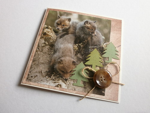 Lištičkové přání — foto 4