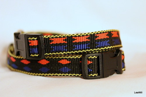Obojek 2cm popruh červeno-modrý — foto 2
