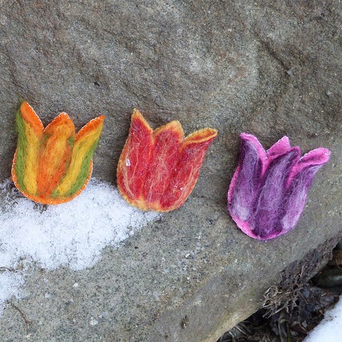 Tulijaro — foto 2