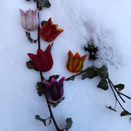 Tulijaro — foto 3
