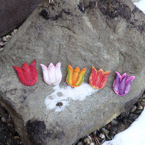 Tulijaro — foto 5