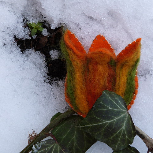 Tulijaro — foto 6