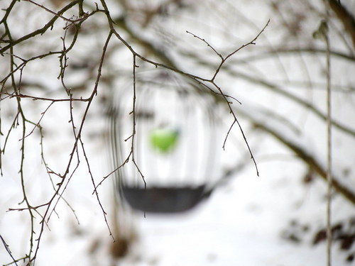 Malá — foto 4