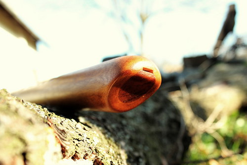 Šestidírková píšťala — foto 3