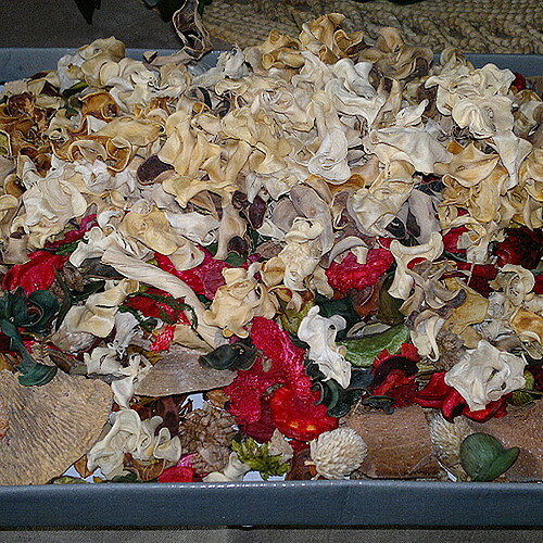 Potpouri — foto 3