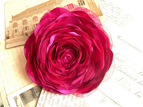 Where the wild roses grow — foto 2