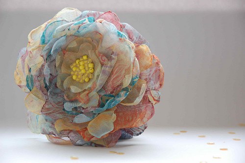 Květ... — foto 3