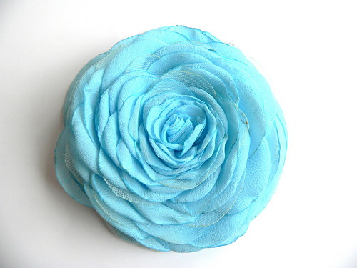 Where the wild roses grow — foto 2