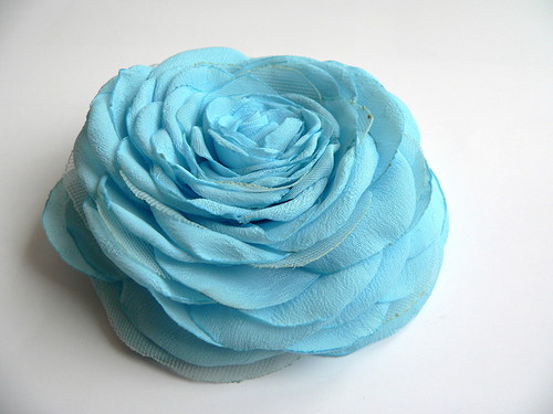 Where the wild roses grow — foto 3