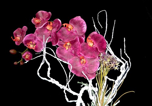 Dekorace Bordeaux orchidea — foto 3