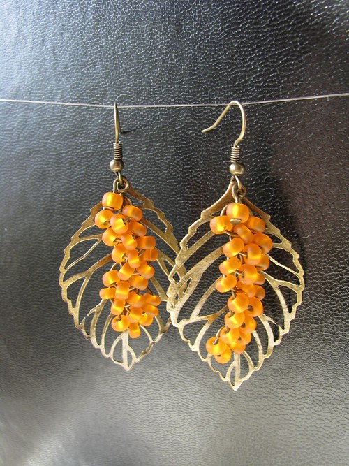 Hippophae rhamnoides — foto 2