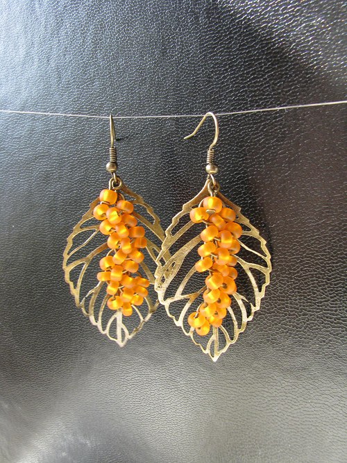 Hippophae rhamnoides — foto 3
