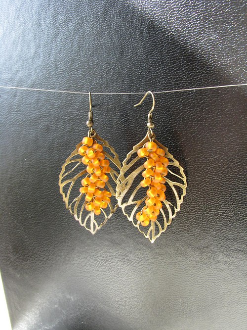 Hippophae rhamnoides — foto 4