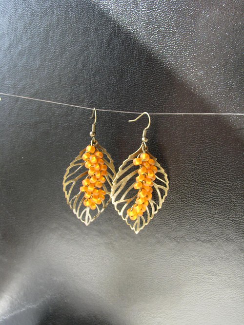 Hippophae rhamnoides — foto 5