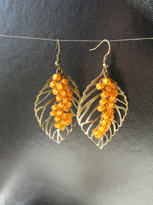 Hippophae rhamnoides — foto 6