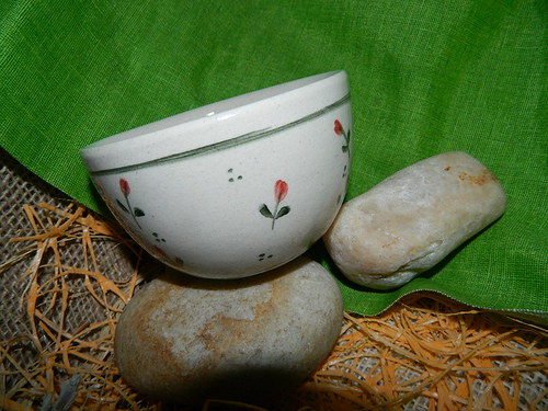 Minitulipánky do dlaně — foto 2