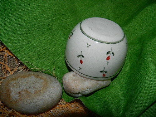 Minitulipánky do dlaně — foto 3