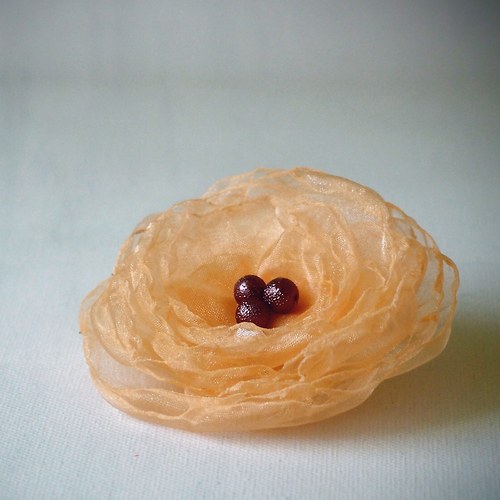 Brož Apricot — foto 2