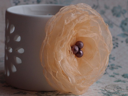 Brož Apricot — foto 3