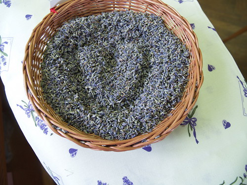 Levandule sypaná 100g — foto 2