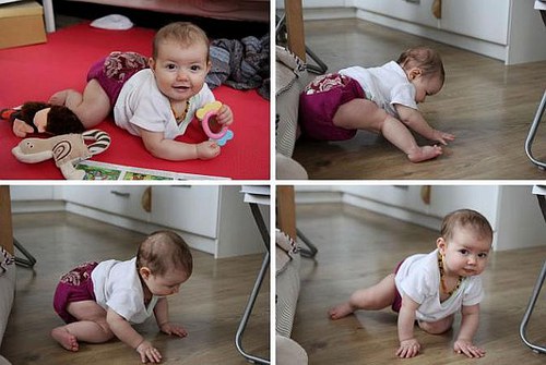 Plenka pro malou šlechtičnu :-) - ostružina... — foto 6