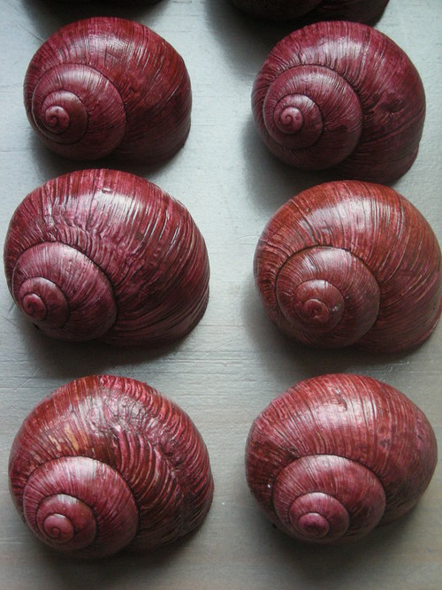 Ulity - červenohnědé, nebo bordo? — foto 3