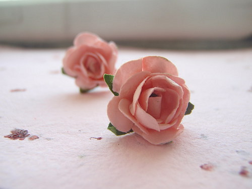 Rose — foto 2