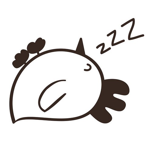 Slepice — foto 2
