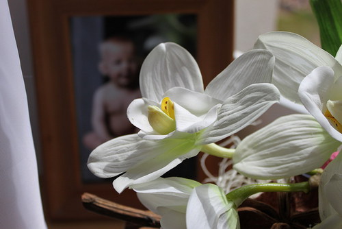 Achhhhh ta orchidej... — foto 3