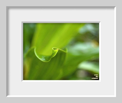 148. Green — foto 2