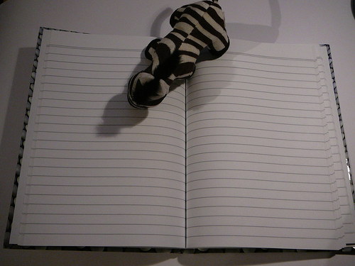 Deník A5 Psychogenní zebra / d.č.40 — foto 3
