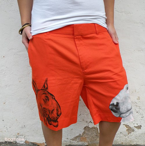 Bulík v Orange County... unisex kraťasy — foto 3
