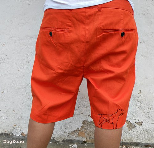 Bulík v Orange County... unisex kraťasy — foto 5