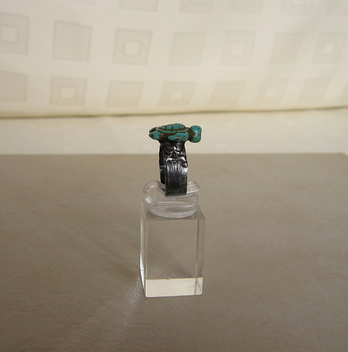 Želvičkový prstýnek — foto 2