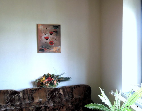 Vlčie maky — foto 2