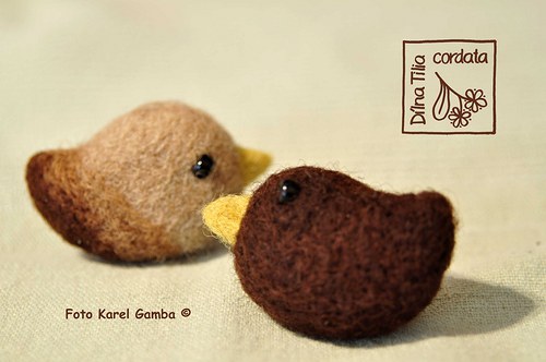 Ptáček tmavě hnědý (brož) — foto 2