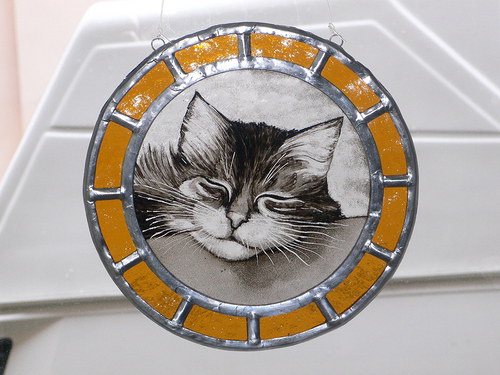 Kocour Mikin — foto 2